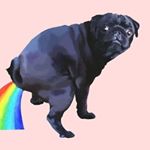 Profile Picture of Detective John Kimble (@detective_john_kimble_pug) on Instagram