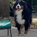 Profile Picture of Kim McPhee (@kim.mcphee) on Instagram