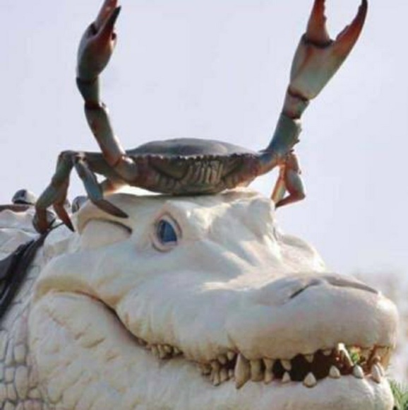 Profile Picture of Charles Dupont (@skeetwear) on Poshmark