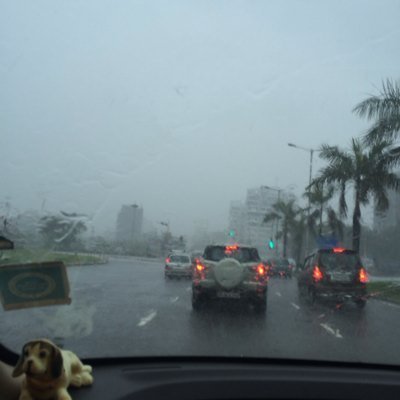 Profile Picture of Neelam Bhardwaj (@B87210635Neelam) on Twitter