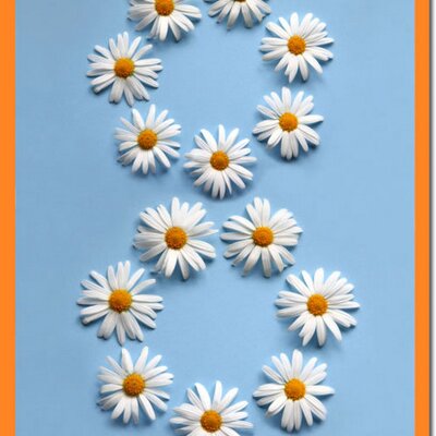 Profile Picture of James Harting (@JHarting) on Twitter