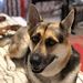 Profile Picture of Autumn Rudolph (@autumnrudolph924) on Pinterest