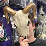 Profile Picture of Joseph Arieta (@epicharpsealja) on Instagram