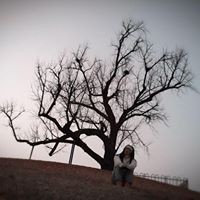 Profile Picture of Amy Dong (@amy-dong-21) on Quora