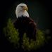 Profile Picture of Scott Dilg (@scott.dilg.98) on Facebook