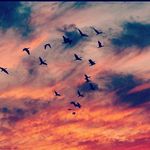 Profile Picture of mina (@minasarbazvatan) on Instagram