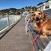 Profile Picture of Peter Scoles (@peter.scoles.9615) on Facebook