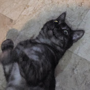 Profile Picture of Jovimae Guiyab (@jubeemee) on Youtube