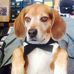 Profile Picture of Pam Daniel (@pam.daniel.58173) on Facebook