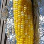 Profile Picture of Pete Zah (@baxterwilliams) on Instagram