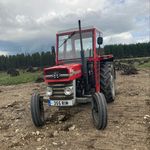 Profile Picture of Niall Madden (@_niall_madden) on Instagram