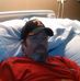 Profile Picture of Edward Beeler (@edward.beeler.5) on Facebook