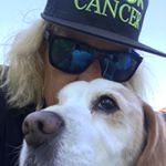 Profile Picture of Andrew Gosling (@gos__07) on Instagram