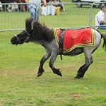 Profile Picture of Ralph Garner (@ralphgarner97) on Instagram