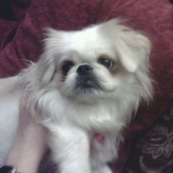 Profile Picture of Jacqueline Doty (@jacquelinedoty) on Poshmark