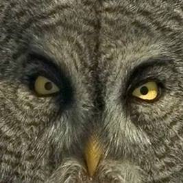 Profile Picture of JD Carroll (@JD-Carroll) on Facebook