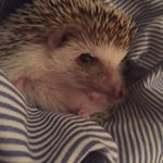 Profile Picture of Marilyn Pohlig (@mwpohlig) on Instagram