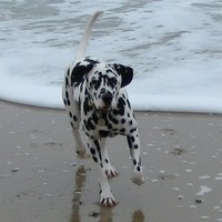 Profile Picture of Mark Warwick (@mark-warwick-5) on Quora
