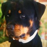 Profile Picture of Norman Keating (@norman.keating) on Instagram