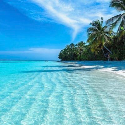 Profile Picture of Peter Broussard (@PeterBroussard4) on Twitter