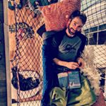 Profile Picture of Steve Paulus (@steviep459) on Instagram