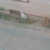 Profile Picture of Esther Prado (@@itsyogurlnana0) on Tiktok