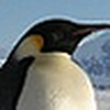 Profile Picture of Bob Hogue (@Bob Hogue) on Flickr