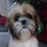 Profile Picture of Roy William Featherstone (@roywilliamfeatherstone) on Instagram