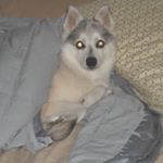 Profile Picture of nicholasmartorelli78 (@nicholasmartorell) on Tiktok