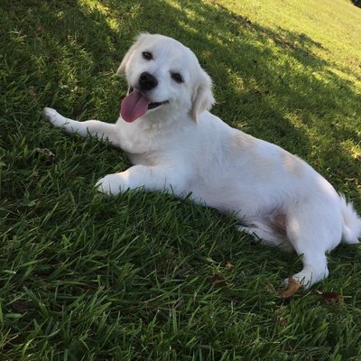 Profile Picture of Jason Shafer (@jasonshafer29) on Twitter