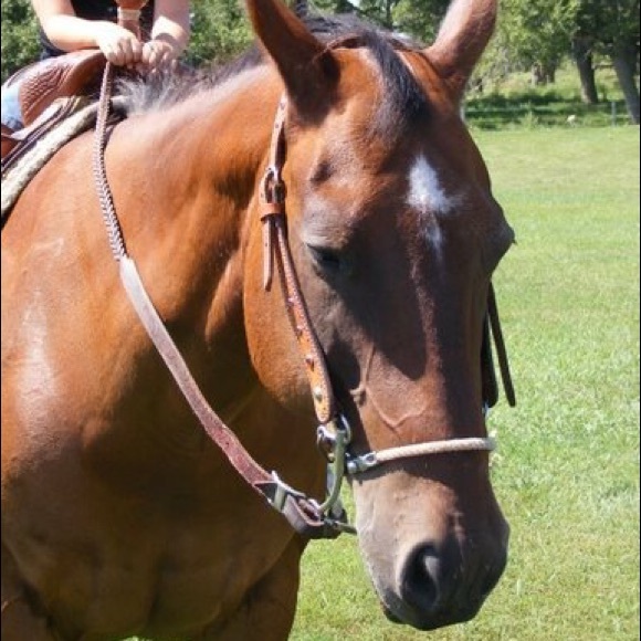 Profile Picture of Madison Fuks (@mrf2348) on Poshmark