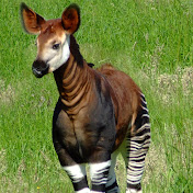 Profile Picture of Ella Michael (@ellamichael4513) on Youtube