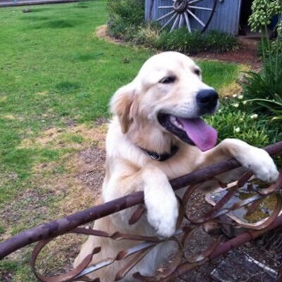 Catherine - Twitter Profile Picture of Catherine (@DelvaLue) on Twitter