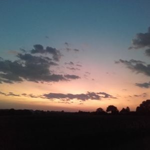 Profile Picture of Jean Michel Sallé (@JeanMichelSall1) on Twitter