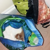 Profile Picture of Anne Roberts (@anne-roberts-85) on Quora