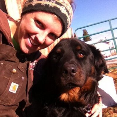 Profile Picture of Michael Greschner (@MGreschner) on Twitter