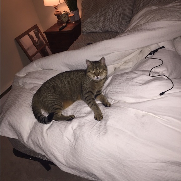 Nicole Merton - Poshmark Profile Picture of Nicole Merton (@nmerton89) on Poshmark