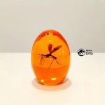 Profile Picture of John's Jurassic Journeys (@johnsjurassicjourneys) on Instagram