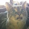 Profile Picture of Jonathan M. Williams (@@jonathanm.william) on Tiktok