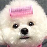 Profile Picture of 함아랑 (@arang2o_o) on Instagram