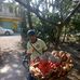 Profile Picture of Vicente Lara (@vicente.lara.961556) on Facebook