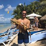 Profile Picture of James Tiger Santangelo (@james_tiger1) on Instagram