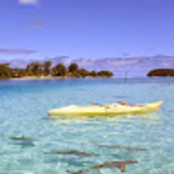 Profile Picture of Cherif Alaoui (@calegnawi) on Poshmark