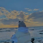 Profile Picture of Virginia Graham (@Virginia-Graham) on Facebook