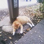 Profile Picture of SATO (サトウ) (@sato_hideki_4649) on Instagram