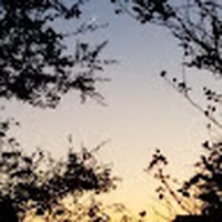 Profile Picture of Addison Hendricks (@addison-hendricks-4) on Quora