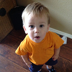 Profile Picture of Greg Wagner (@wagnergreg457) on Flickr