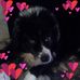 Profile Picture of Debbie Clevinger (@debbie.clevinger.1) on Facebook