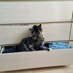 Profile Picture of Jerome Baptiste (@jerome.baptiste) on Instagram