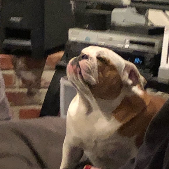 Profile Picture of Brandon Blanco (@brando824) on Poshmark